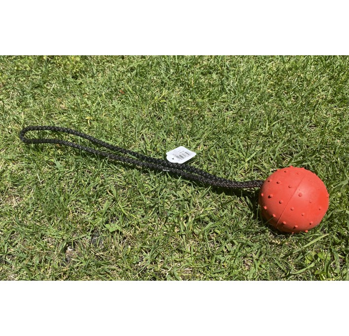Pelota de goma solida dura Herm Sprenger