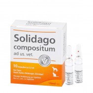 SOLIDAGO COMPOSITUM AD US. VET