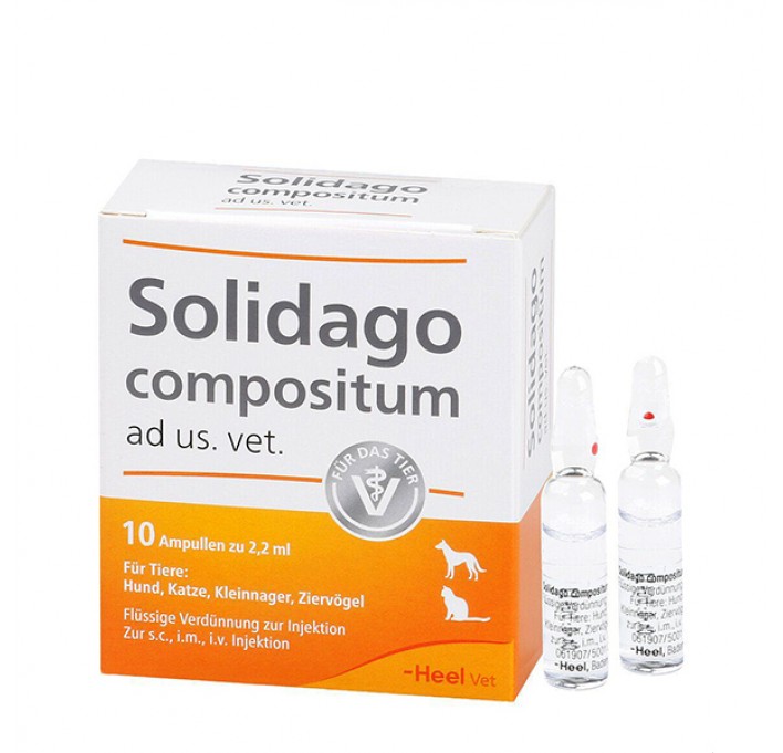 SOLIDAGO COMPOSITUM AD US. VET
