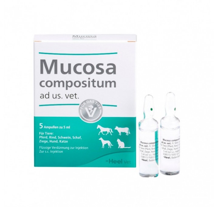 Mucosa compositum Heel veterinario 